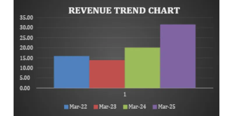 Financial Statement Analysis